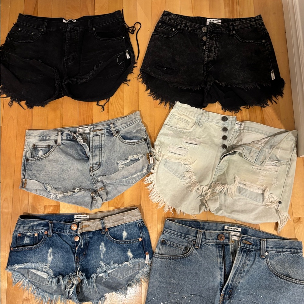 One Teaspoon Women's Jean Shorts and vintage skirt bundle
